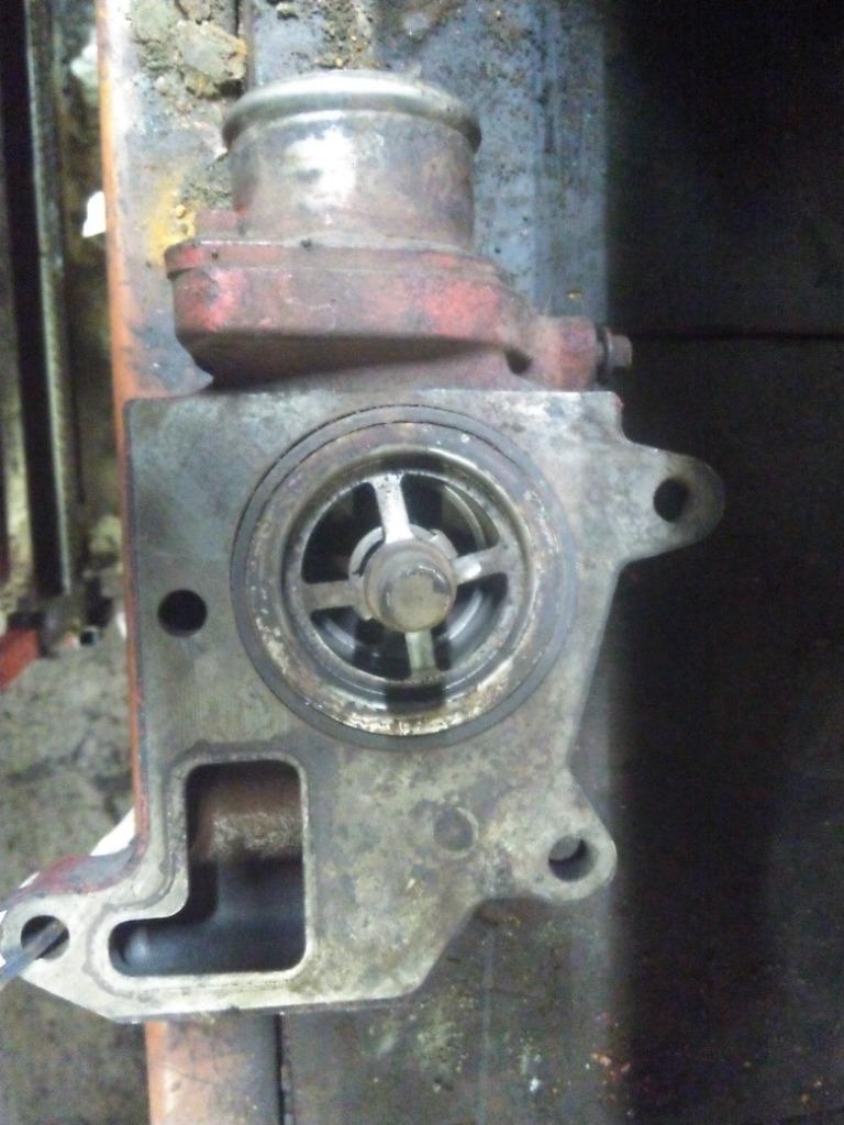 THERMOSTAT HOUSING CUMMINS BC4 Shop Parts LKQ Heavy Truck
