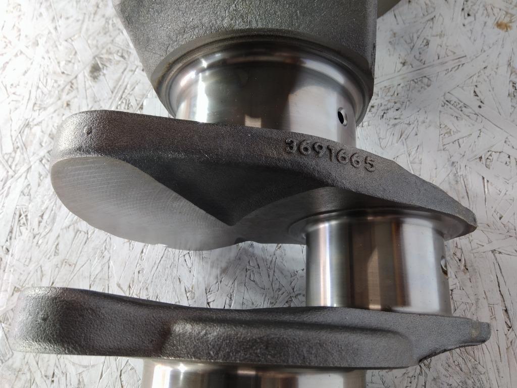 【帯付き】MASS　OF　THE　FERMENTING　DREGS Bell & Gossett 189034LF Bearing Assembly 1/2
